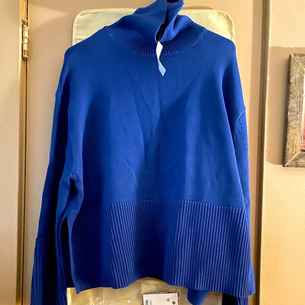 Loft Turtleneck Oversized sweater